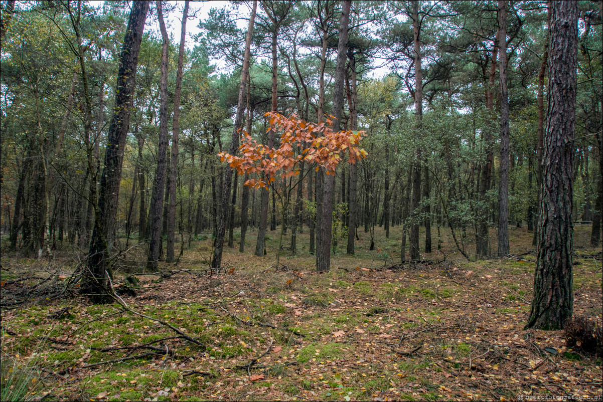 Pelgrimspad: Drunen - Den Bosch - Vught